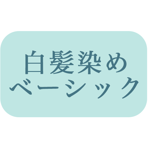 【ベーシックカラー】根元染め（リタッチ）