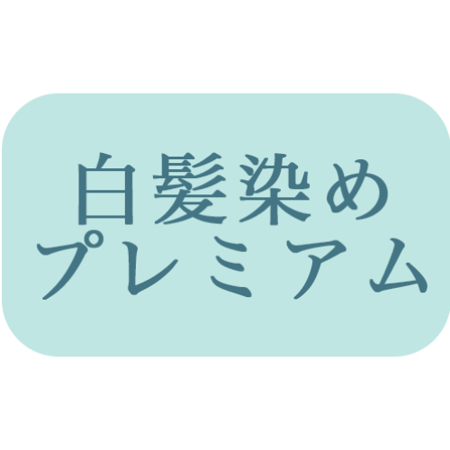 髪質改善【プレミアムカラー】全体染め