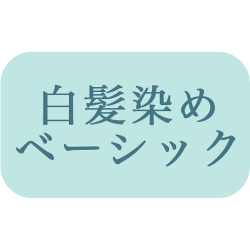 【ベーシックカラー】全体染め