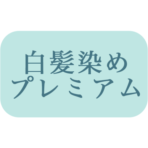 髪質改善【プレミアムカラー】根元染め(リタッチ)