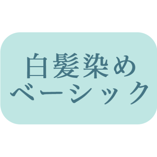 【ベーシックカラー】根元染め（リタッチ）