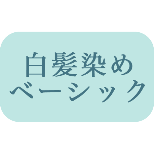 【ベーシックカラー】全体染め