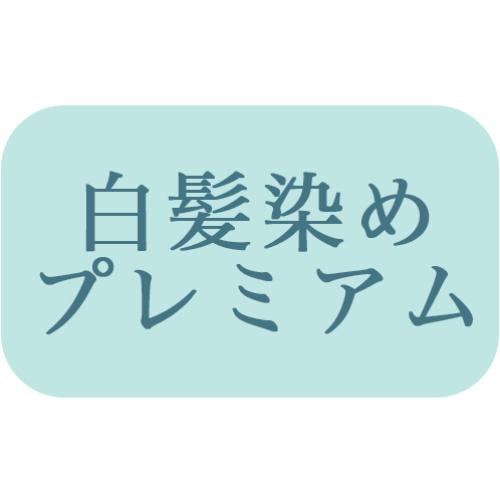 髪質改善【カラーのちからオリジナル　カラチカ】根元染め（リタッチ）