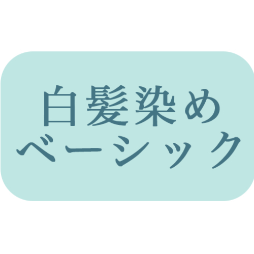 【ベーシックカラー】根元染め（リタッチ）