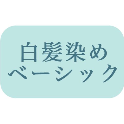 【ベーシックカラー】全体染め