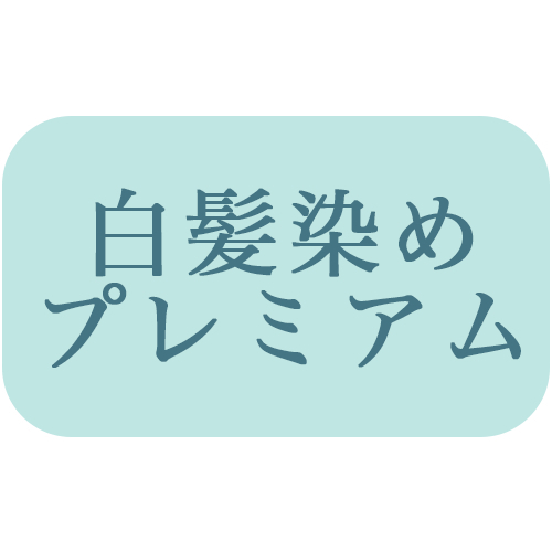 髪質改善【カラーのちからオリジナル　カラチカ】根元染め（リタッチ）