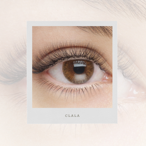 フラットマットラッシュ120本